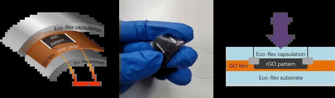 科學檢測 儀器立功-人體多組織發(fā)現塑料痕跡